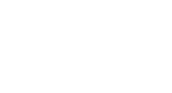 Logo Spinbackup